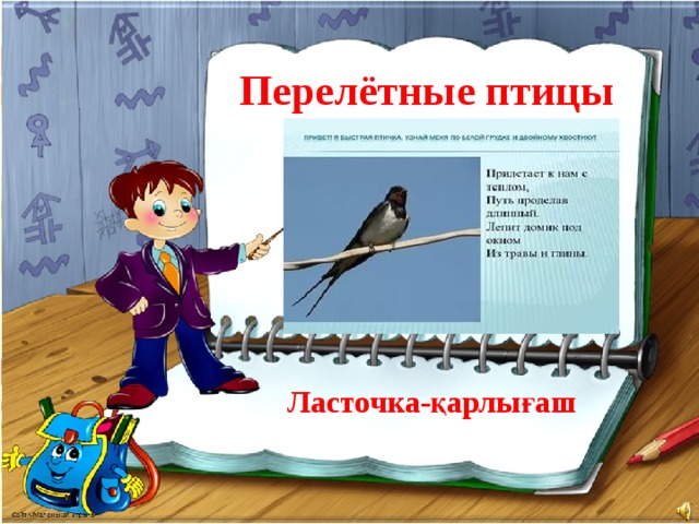 Перелётные птицы Ласточка-қарлығаш