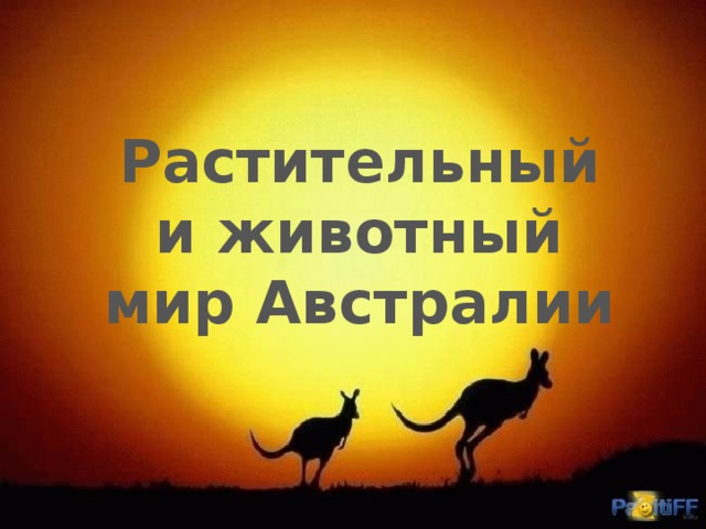 Растительный и животный мир Австралии 