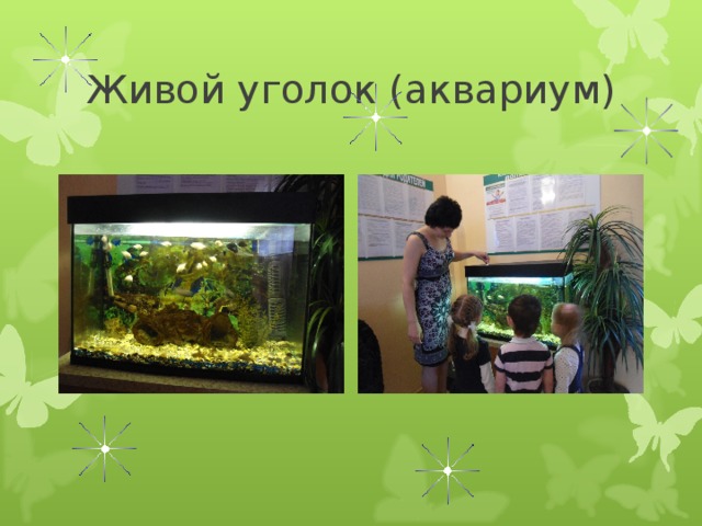 Живой уголок (аквариум) 