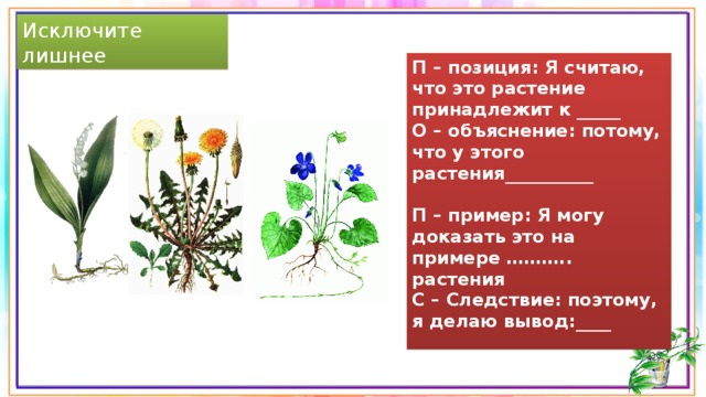 Исключите лишнее П – позиция: Я считаю, что это растение принадлежит к _____ О – объяснение: потому, что у этого растения__________ П – пример: Я могу доказать это на примере ……….. растения С – Следствие: поэтому, я делаю вывод:____ 