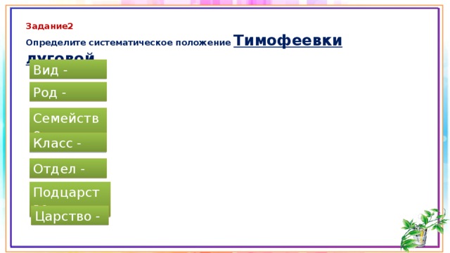 Задание2 Определите систематическое положение Тимофеевки луговой Вид - Род - Семейство - Класс - Отдел - Подцарство - Царство - 