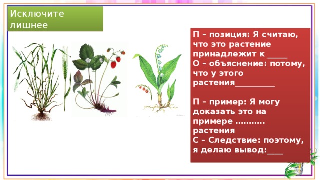 Исключите лишнее П – позиция: Я считаю, что это растение принадлежит к _____ О – объяснение: потому, что у этого растения__________   П – пример: Я могу доказать это на примере ……….. растения С – Следствие: поэтому, я делаю вывод:____ 