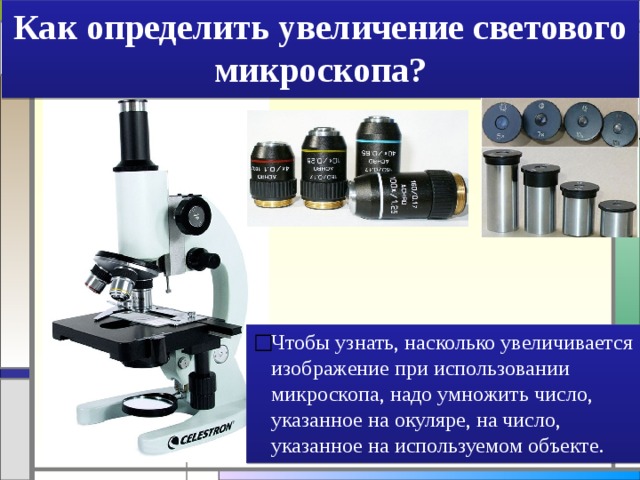 Как определить увеличение светового микроскопа? Чтобы узнать, насколько увеличивается изображение при использовании микроскопа, надо умножить число, указанное на окуляре, на число, указанное на используемом объекте. 