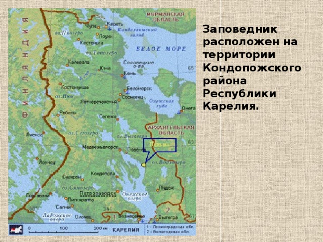 Республика карелия территория. Охраняемые природные территории Карелии. Заповедники Карелии на карте. Карта ООПТ Карелии. Карелия заповедники и национальные парки на карте.