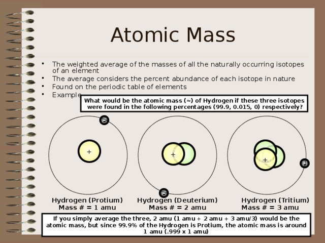 Atomic Mass The weighted average of the masses of all the naturally occurring isotopes of an element The average considers the percent abundance of each isotope in nature Found on the periodic table of elements Example What would be the atomic mass (≈) of Hydrogen if these three isotopes  were found in the following percentages (99.9, 0.015, 0) respectively? -  + +   + - - Hydrogen (Protium) Mass # = 1 amu Hydrogen (Deuterium) Mass # = 2 amu Hydrogen (Tritium) Mass # = 3 amu If you simply average the three, 2 amu (1 amu + 2 amu + 3 amu/3) would be the atomic mass, but since 99.9% of the Hydrogen is Protium, the atomic mass is around 1 amu (.999 x 1 amu) 