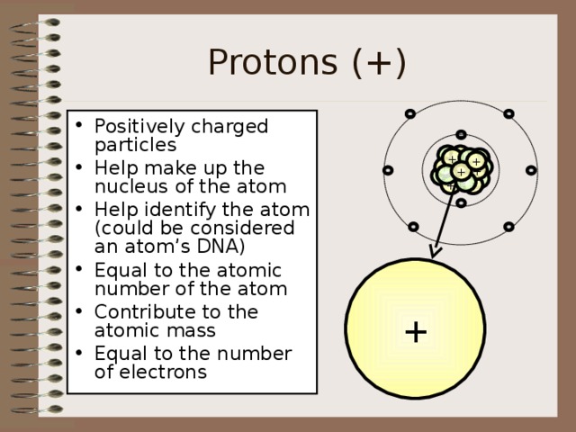 Protons (+) Positively charged particles Help make up the nucleus of the atom Help identify the atom (could be considered an atom’s DNA) Equal to the atomic number of the atom Contribute to the atomic mass Equal to the number of electrons - - -  + +   +  + + +   - -   + + - - - + 