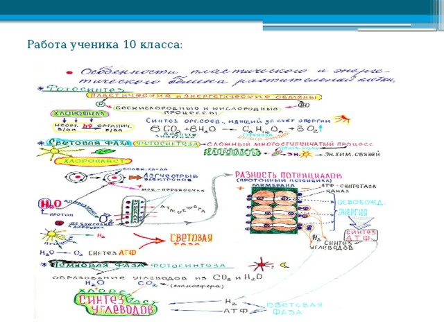 Работа ученика 10 класса: 