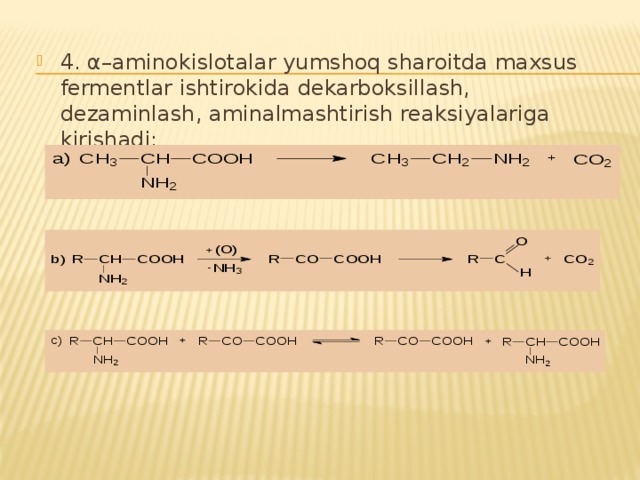 4. α–aminokislotalar yumshoq sharoitda maxsus fermentlar ishtirokida dekarboksillash, dezaminlash, aminalmashtirish reaksiyalariga kirishadi: 