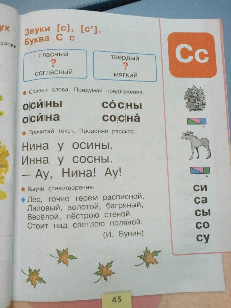 Сосна звуковая схема