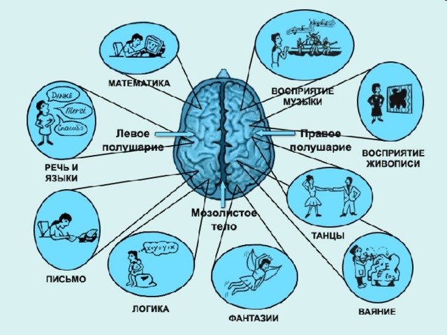 Кинезиологические картинки для детей дошкольного возраста