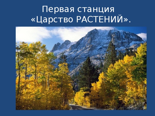 Первая станция  «Царство РАСТЕНИЙ».      
