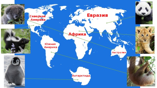 Карта мира евразия африка северная америка южная америка австралия антарктида