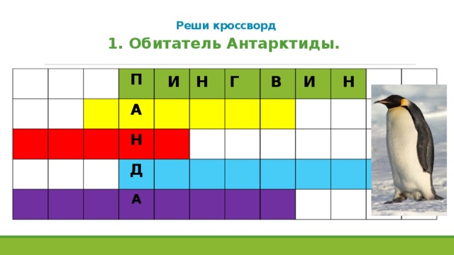 Русские в антарктиде 4 буквы сканворд