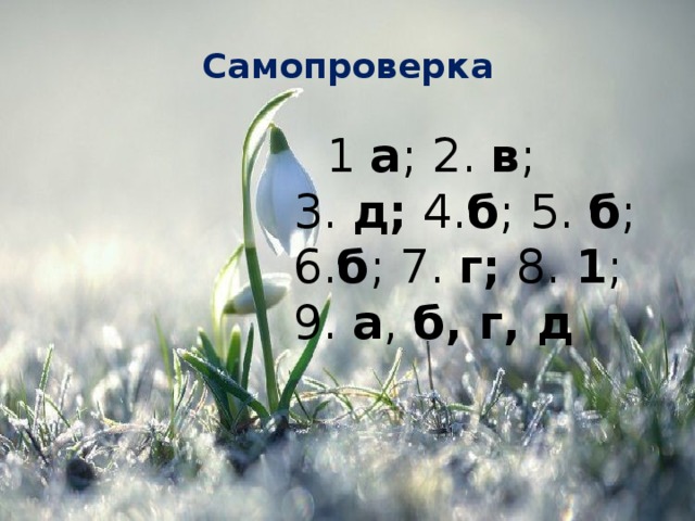 Самопроверка  1  а ; 2.  в ; 3.  д;  4. б ; 5.  б ; 6. б ; 7.  г;  8.  1 ; 9.  а ,  б, г, д 