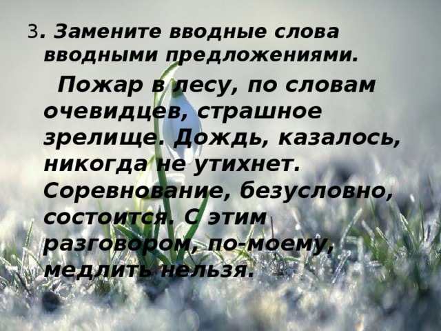 3 . Замените вводные слова вводными предложениями.  Пожар в лесу, по словам очевидцев, страшное зрелище. Дождь, казалось, никогда не утихнет. Соревнование, безусловно, состоится. С этим разговором, по-моему, медлить нельзя. 