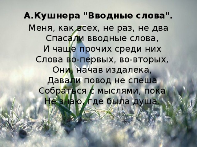 А.Кушнера 