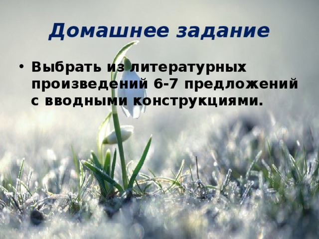 Домашнее задание Выбрать из литературных произведений 6-7 предложений с вводными конструкциями. 