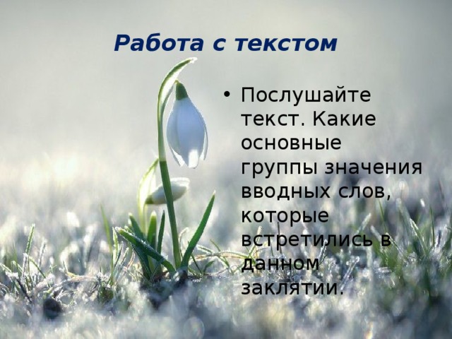 Работа с текстом Послушайте текст. Какие основные группы значения вводных слов, которые встретились в данном заклятии. 