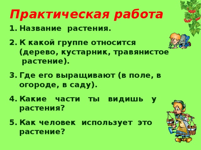 Практическая работа растения. К какой группе относится дерево кустарник травянистое растение. К какой группе относятся дерево кустарник. К какой группе относится дерево. К какой группе относится дерево кустарник травянистое.