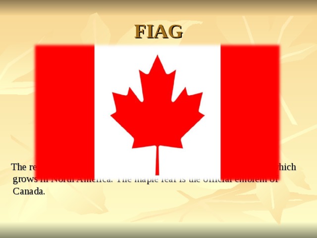 FIAG  The red and white Canadian flag shows a leaf of the maple tree, which grows in North America. The maple leaf is the official emblem of Canada.  