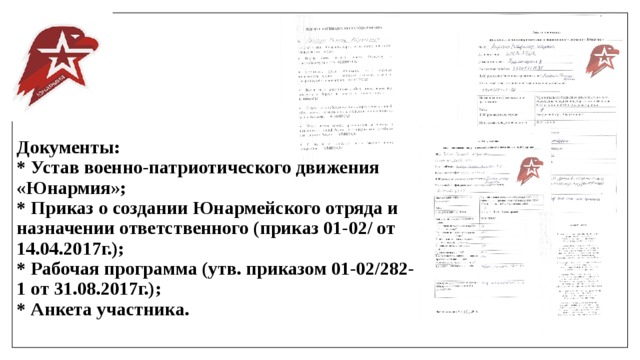 Юнармия анкета участника образец заполнения