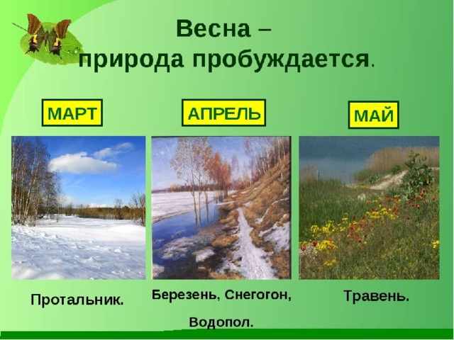 Название месяцев живой природы. Весенние месяцы. Март апрель май. Весенние месяцы для детей. Назови весенние месяцы.