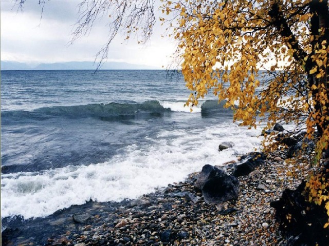  ФІЗПАУЗА   