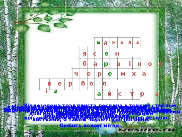 Б  д ж о л а я с  е  н б а р в і н о к ч е р е м х а  в е р б о л і з а й с т р а Вічнозелена трав'яниста рослина з тонким стеблом, темно-зеленим листям овальної форми і невеликими квітами синього кольору. Цвіте ранньою весною. Медоносна комаха, що переробляє квітковий нектар на мед. Високий кущ або невелике дерево з довгими блискучими гілками, вузенькими листками, а також зарості цієї рослини. Любить вологі місця. Дерево родини оливкових з перистими листочками і міцною деревиною. Дерево або кущ із зібраними у суцвіття білими квітками й чорними їстівними ягодами. Однорічна рослина, яка квітне в кінці літа, восени. Квіти великі, різного забарвлення.  