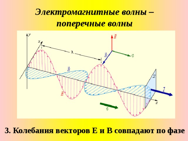 Электромагнитные волны – поперечные волны 3. Колебания векторов Е и В совпадают по фазе 