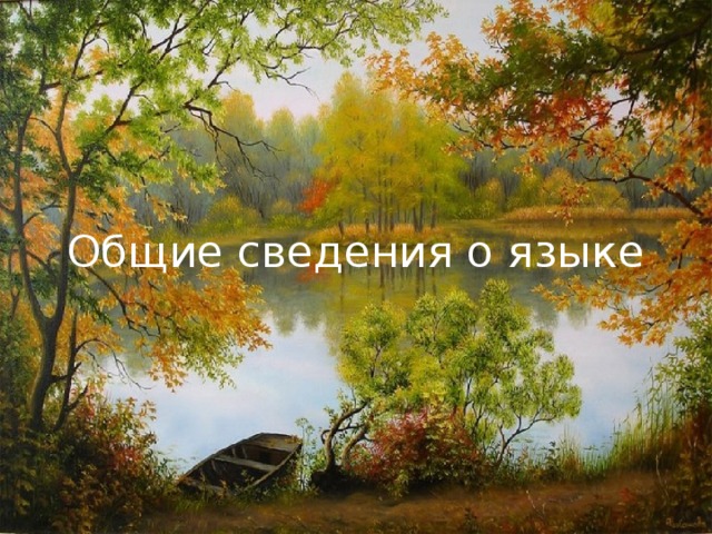  Общие сведения о языке 