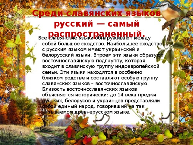   Среди славянских языков русский — самый распространенный.   Все славянские языки обнаруживают между собой большое сходство. Наибольшее сходство с русским языком имеют украинский и белорусский языки. Втроем эти языки образуют восточнославянскую подгруппу, которая входит в славянскую группу индоевропейской семьи. Эти языки находятся в особенно близком родстве и составляют особую группу славянских языков – восточнославянскую. Близость восточнославянских языков объясняется исторически: до 14 века предки русских, белорусов и украинцев представляли собой единый народ, говоривший на так называемом древнерусском языке. 