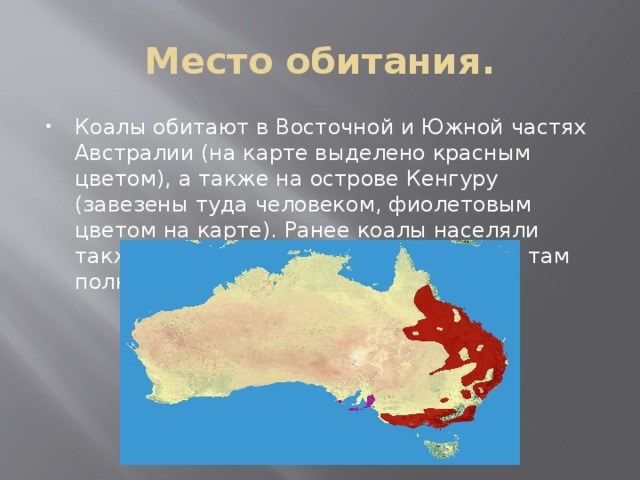 Ареалы австралии. Коала место обитания на карте. Кенгуру место обитания на карте. Ареал обитания кенгуру в Австралии. Обитание коал место обитания.