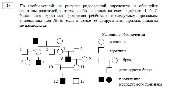 Изучите графическое изображение родословной семьи по одному изучаемому признаку ответы на вопросы