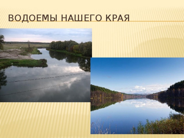 Проект водоемы нашего края