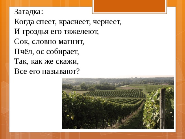 Когда спеет калина