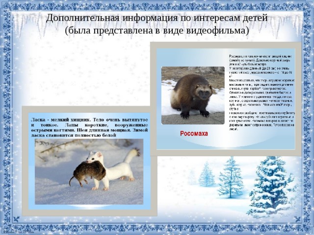 Дополнительная информация по интересам детей  (была представлена в виде видеофильма) 