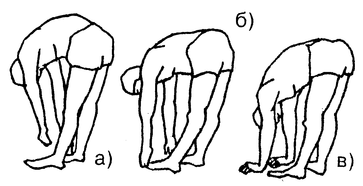 В п стоя. Гибкость наклоны вперед упражнения. Упражнения для гибкости позвоночника. Упражнения на гибкость на полу. Упражнения на гибкость наклоны.