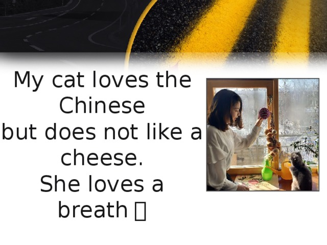 My cat loves the Chinese  but does not like a cheese.  She loves a breath ！ 