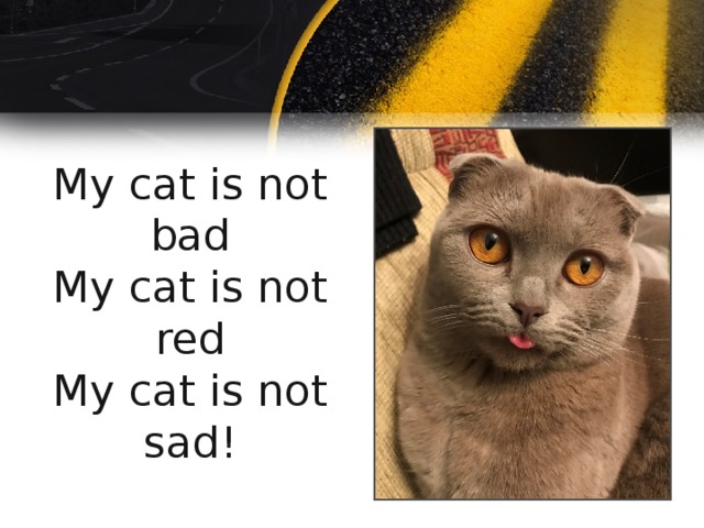 My cat is not bad  My cat is not red  My cat is not sad! 