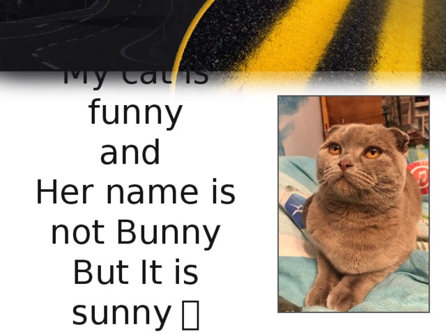 My cat is funny  and  Her name is not Bunny  But It is sunny ！   