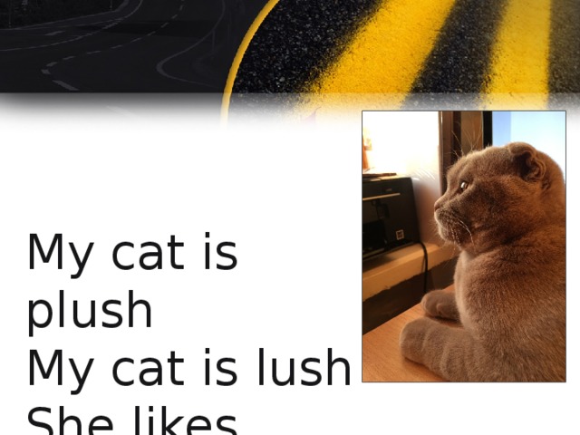 My cat is plush  My cat is lush  She likes crush! 