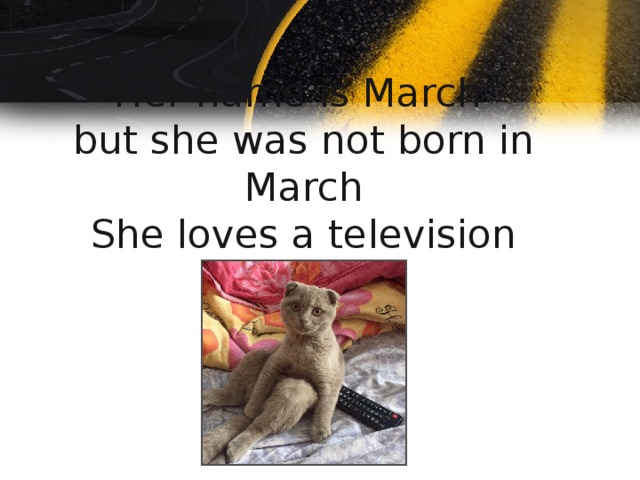 Her name is March   but she was not born in March  She loves a television match ！ 