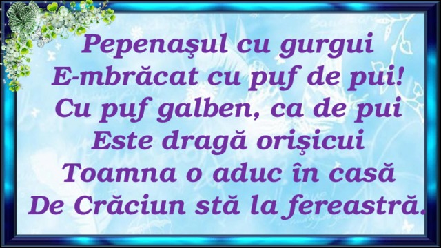  Pepenaşul cu gurgui  E-mbrăcat cu puf de pui!  Cu puf galben, ca de pui  Este dragă orişicui  Toamna o aduc în casă  De Crăciun stă la fereastră.   