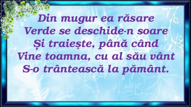 Din mugur ea răsare  Verde se deschide-n soare  Și traieşte, până când  Vine toamna, cu al său vânt  S-o trântească la pământ.   