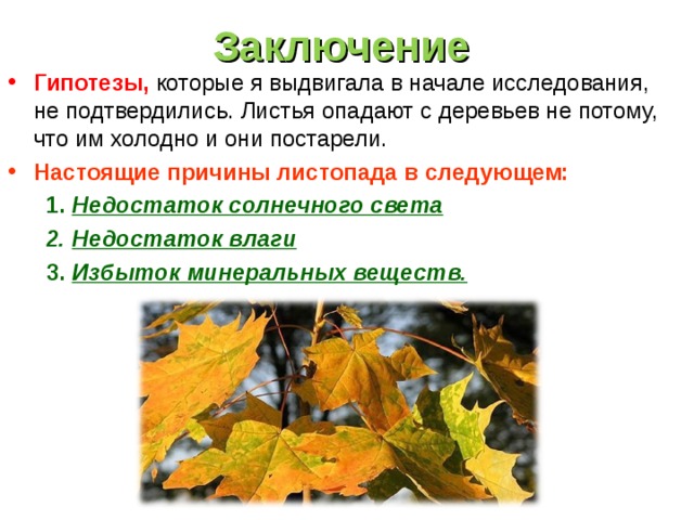 Листопад презентация по биологии. Причины листопада осенью. Почему у деревьев опадают листья. Исследовательская работа почему желтеют листья. Листопад у растений.