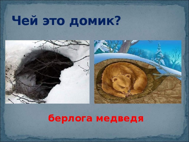 Чей это домик? берлога медведя 