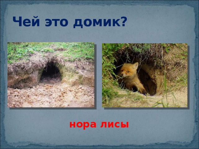 Чей это домик? нора лисы 