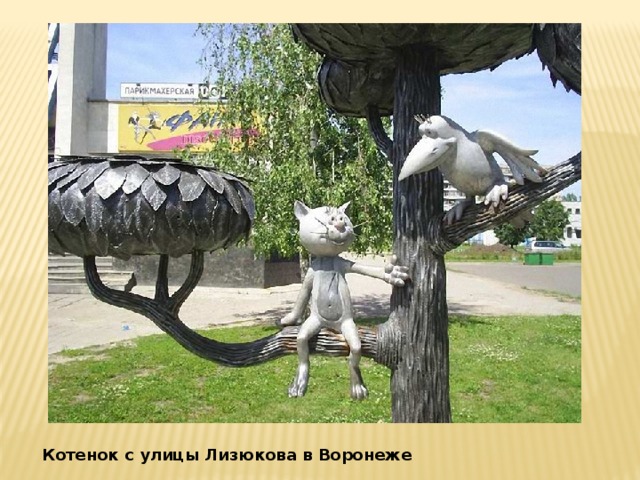 Котенок с улицы Лизюкова в Воронеже 