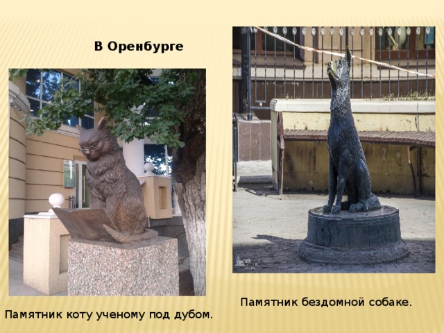 В Оренбурге Памятник коту ученому под дубом. Памятник бездомной собаке. 