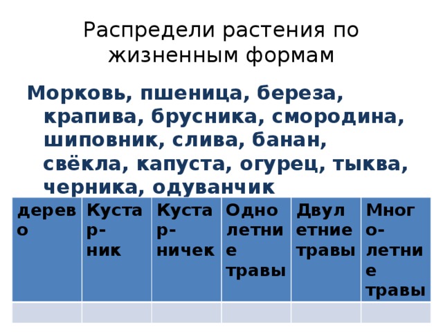 Распределите растения по 3 группам